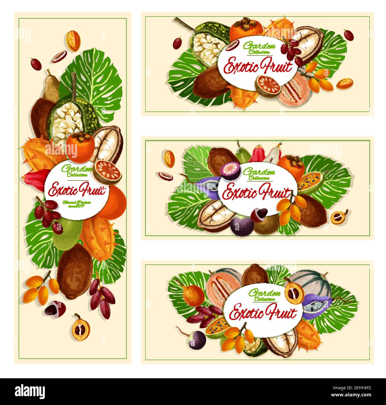 Frutta esotica, raccolta da giardino e striscioni alimentari. Vettore caimito e kiwano, miracolo frutta e kumquat, pepino e mamey. Marang e persimmon, papaya A. Illustrazione Vettoriale