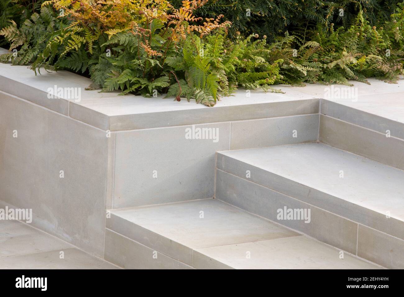 Legname di grandi dimensioni bianco pietra di Yorkstone lastre lastricate pavimentando gradini pavimentati e rialzato bordo del letto piantato con felci - Inghilterra GB UK Foto Stock