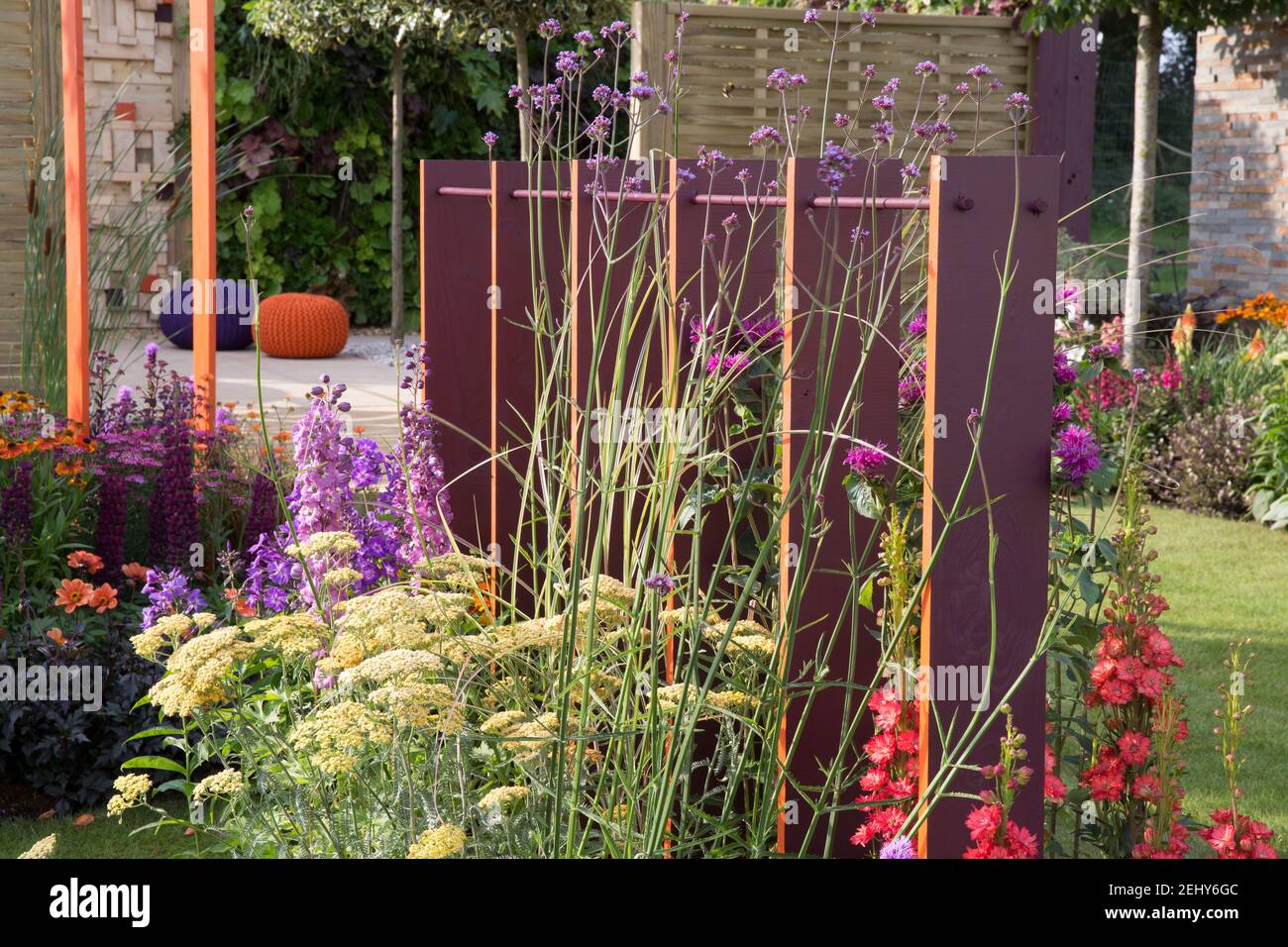 Un giardino moderno con recinzione di confine schermo dipinto - aiuole piene di Verbena bonariensis, Achillea millefolium - dahlias - England GB UK Foto Stock