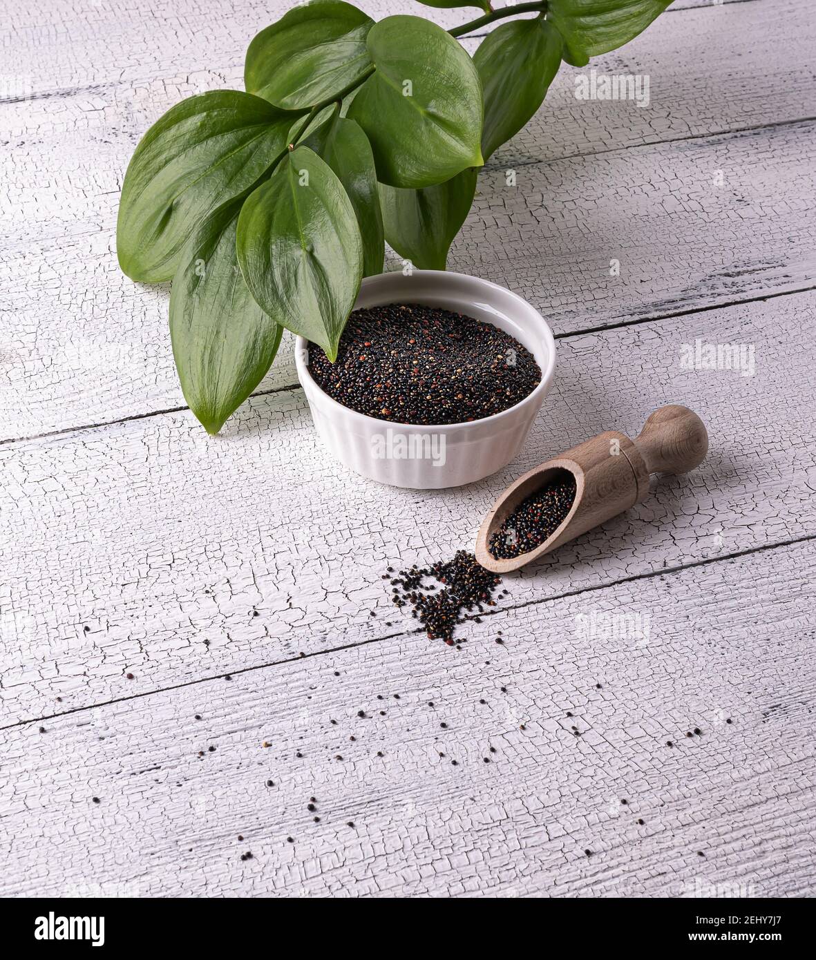 Semi neri di quinoa peruviana crudi in ciotola bianca e paletta di legno con semi su tavola di legno bianco. Pochi semi sono sparsi intorno. Foglie verdi sul dorso Foto Stock