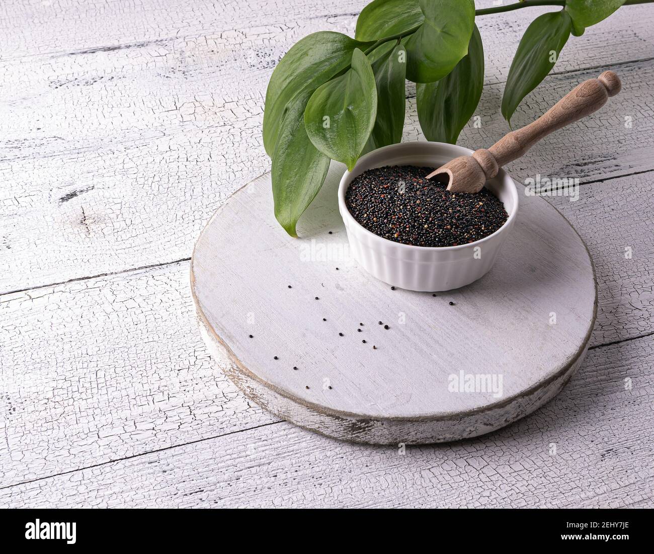 Semi di quinoa crudo nero e paletta in ciotola bianca su tavolo di legno bianco. Pochi semi sono sparsi intorno. Foglie verdi sullo sfondo. Cibo eccellente con copia Foto Stock