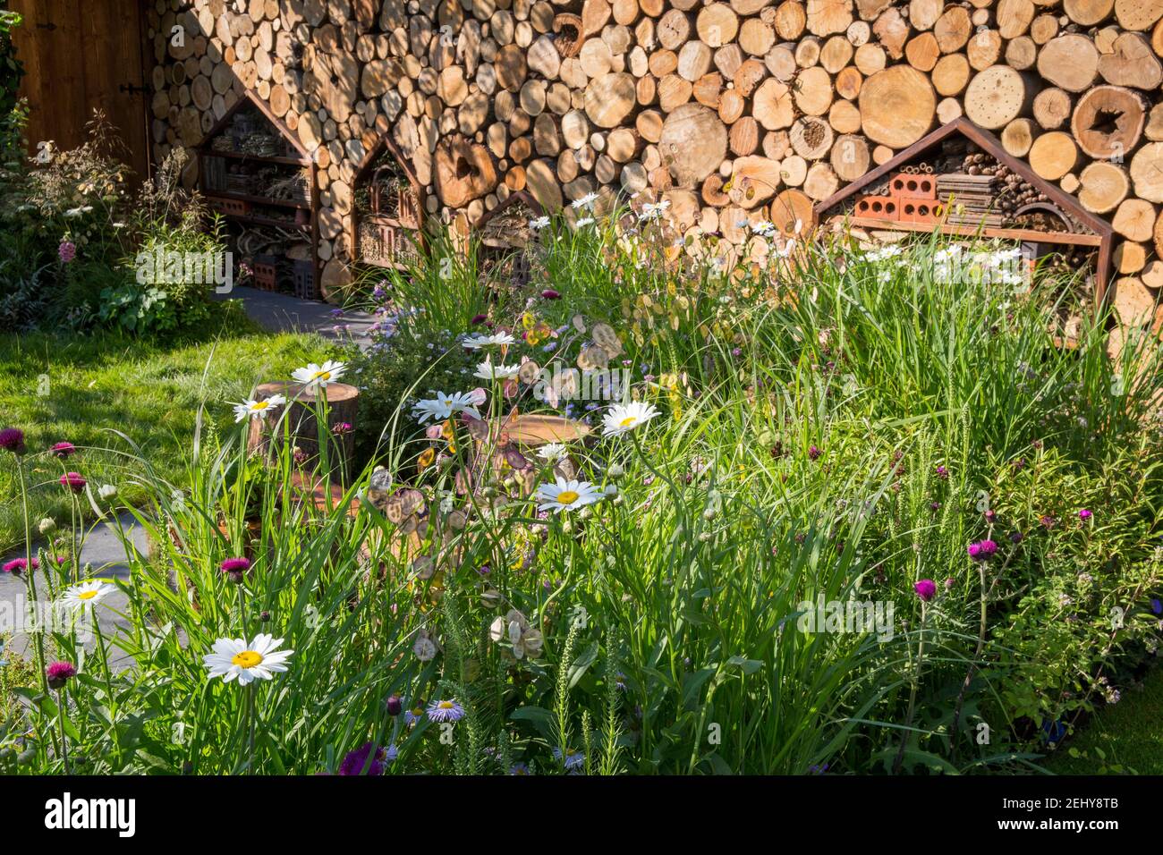 flora e fauna selvatiche e giardino adatto ai bambini con pareti realizzate da tronchi habitat per impollinatori con insetti hotel confini di fiori selvatici, fiori selvatici regno unito Foto Stock