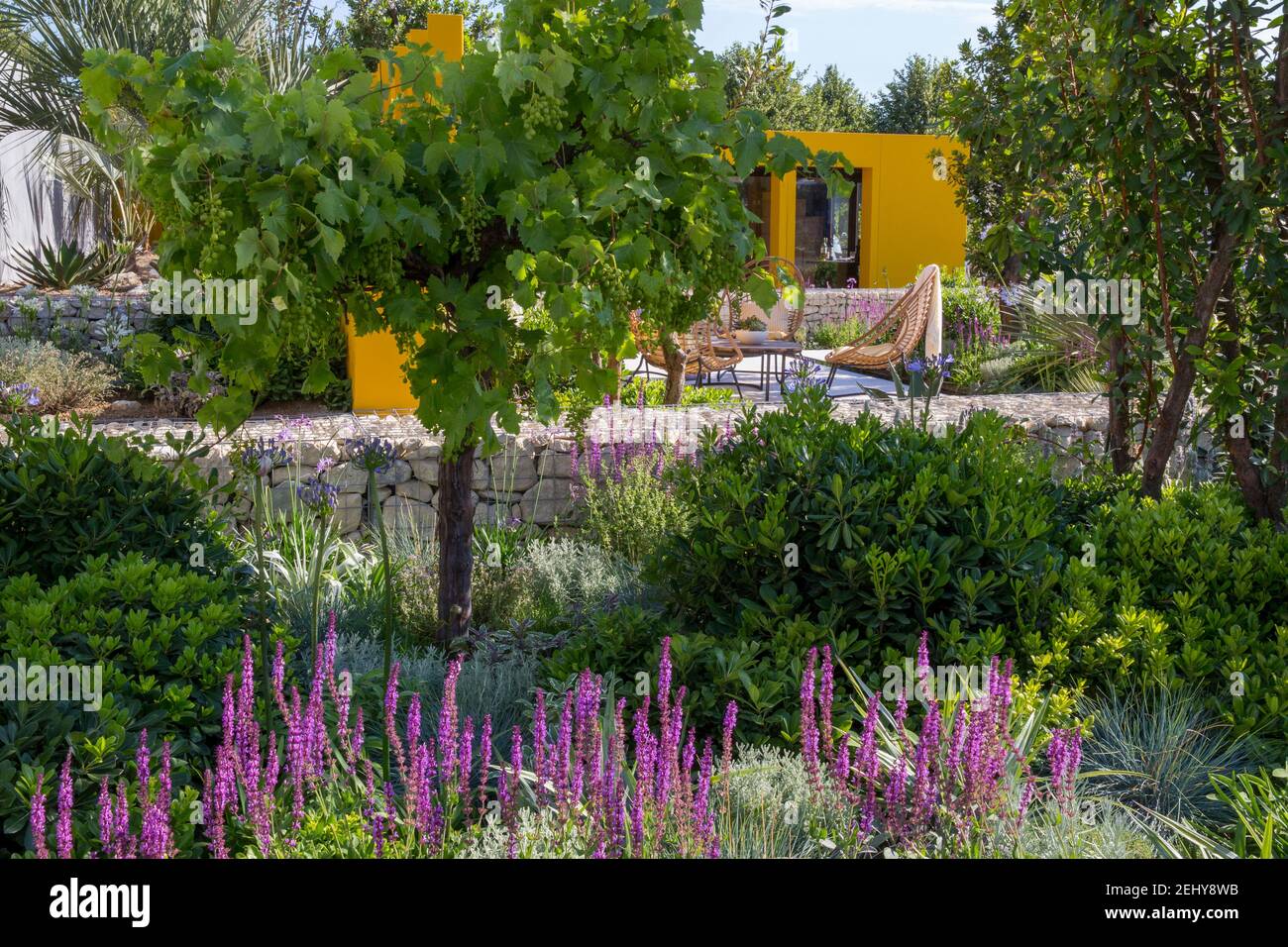 home studio in giardino mediterraneo - piccolo patio con tavolo da parete gabioni e sedie con Salvia nemorosa e un albero di uva Foto Stock