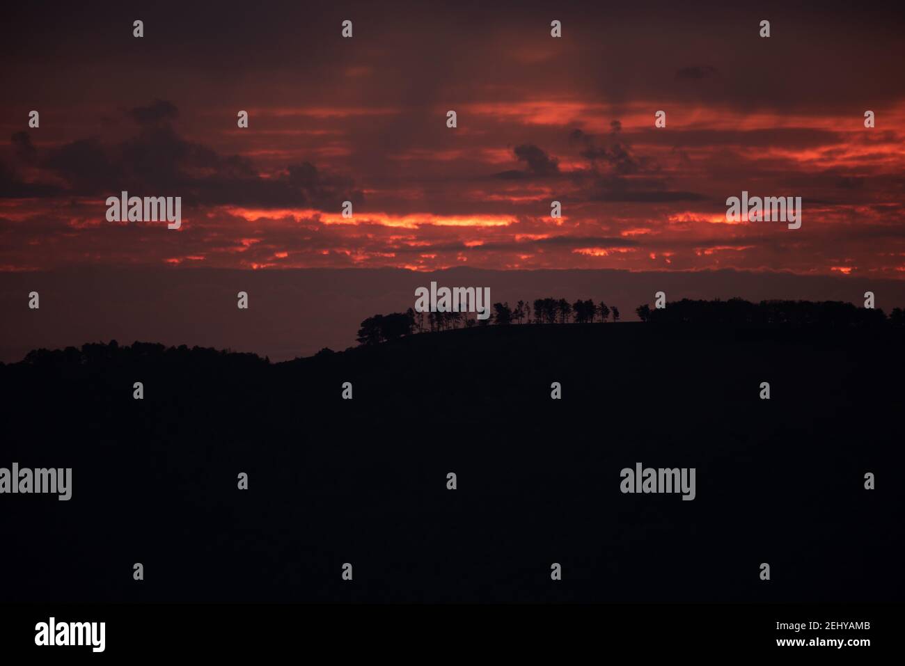 Silhouette degli alberi sulla collina catturata a a. magnifico tramonto Foto Stock