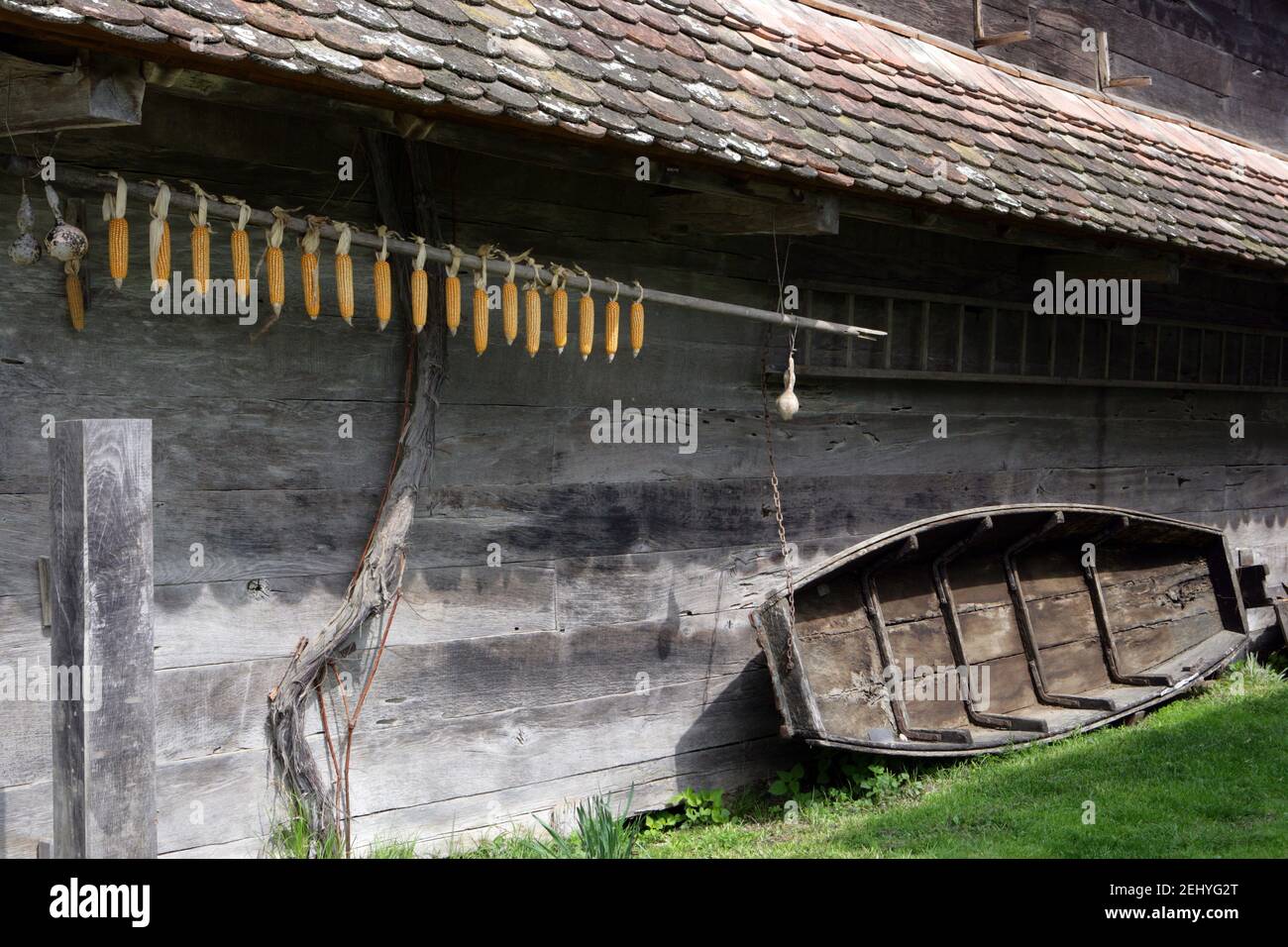 L'essiccazione di mais all'esterno di una casa di legno con una barca di legno Appoggiandosi sul suo muro Foto Stock