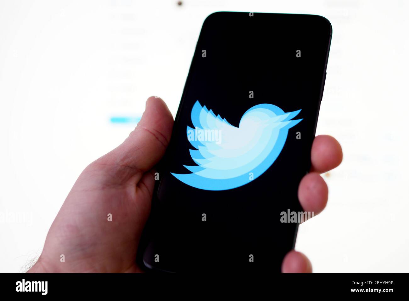 Il logo Twitter bird è visto su un dispositivo mobile in questa illustrazione fotografica a Varsavia, Polonia il 20 febbraio 2021. Foto Stock