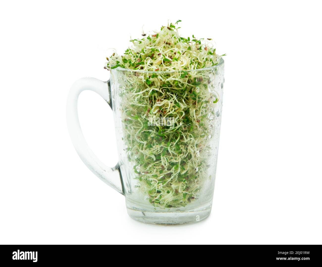 Germogli di erba medica giovani biologici in un bicchiere su sfondo bianco. Cibo biologico. Primo piano con il tracciato di ritaglio Foto Stock