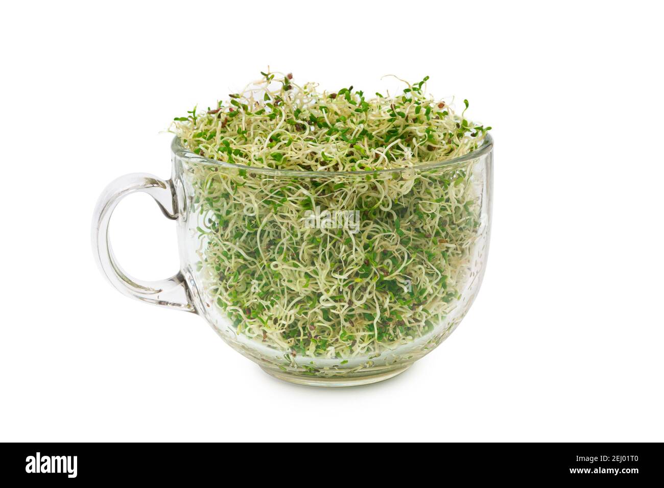 Germogli di erba medica giovani biologici in un bicchiere su sfondo bianco. Cibo biologico. Primo piano con il tracciato di ritaglio Foto Stock