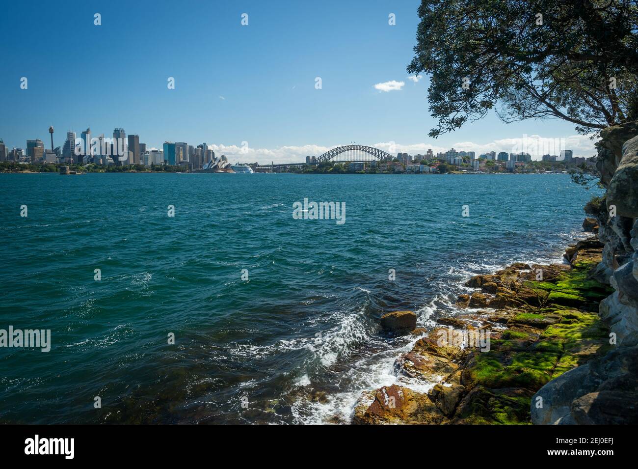 Sydney Harbour, che include l'Opera House, Harbour Bridge e Sydney Tower Eye da Cremorne Point, New South Wales, Australia. Foto Stock