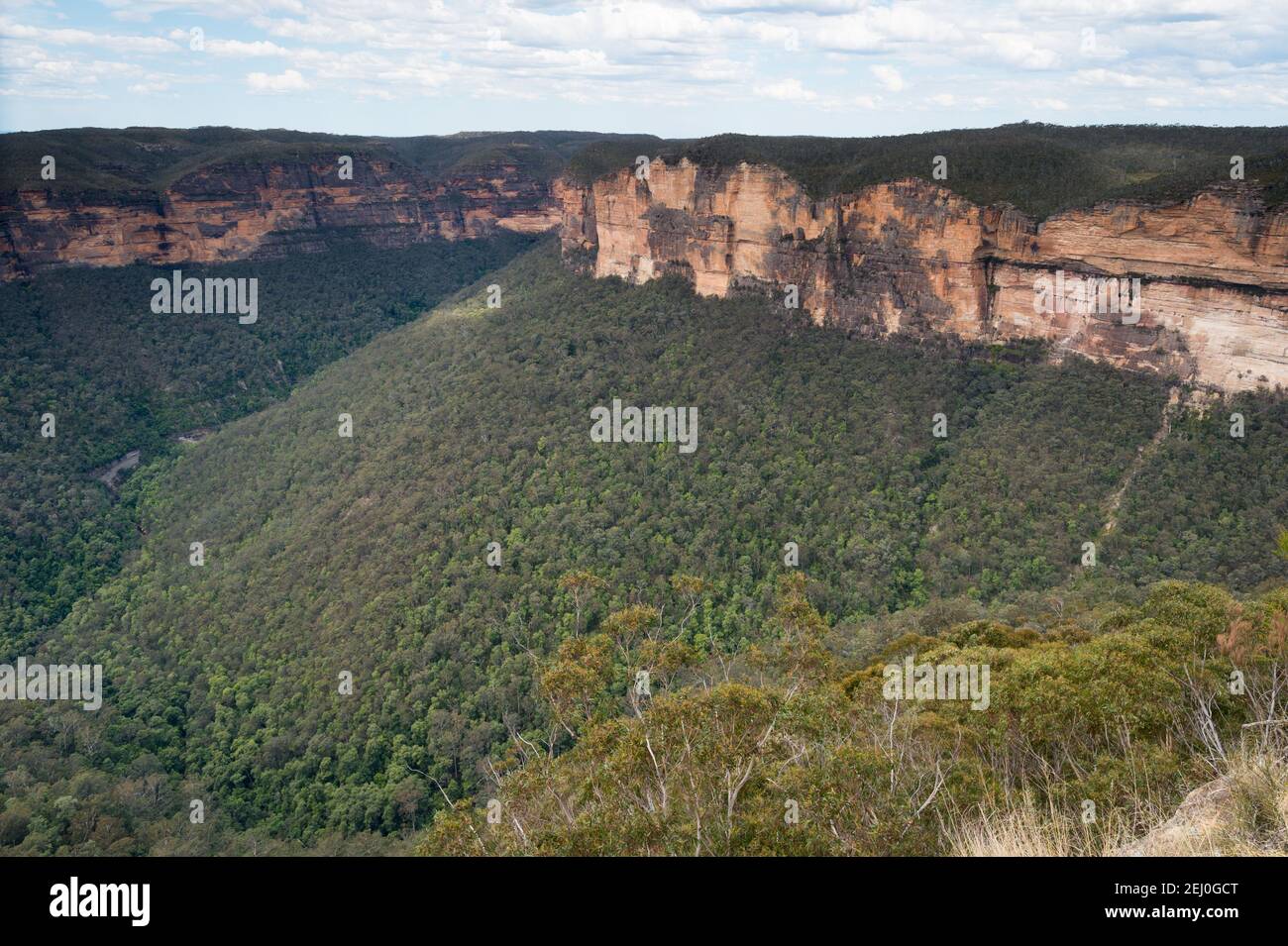 Fortress Hill, Blue Mountains, New South Wales, Australia. Foto Stock