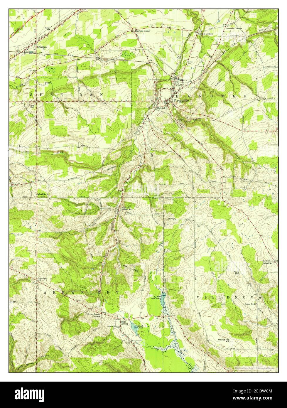 Forestville, New York, mappa 1954, 1:24000, Stati Uniti d'America da Timeless Maps, dati U.S. Geological Survey Foto Stock