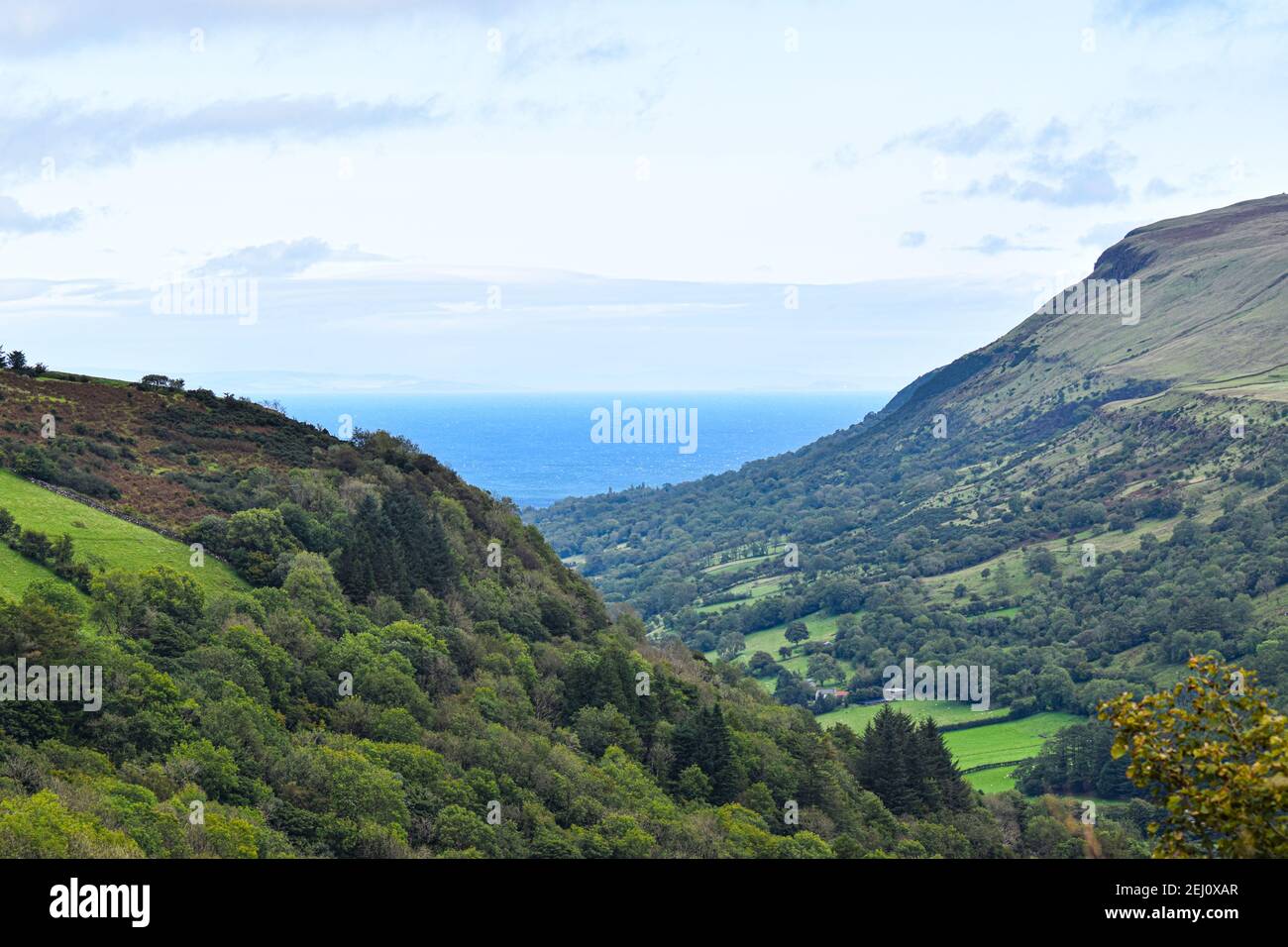 Natura dell'Irlanda del Nord Foto Stock