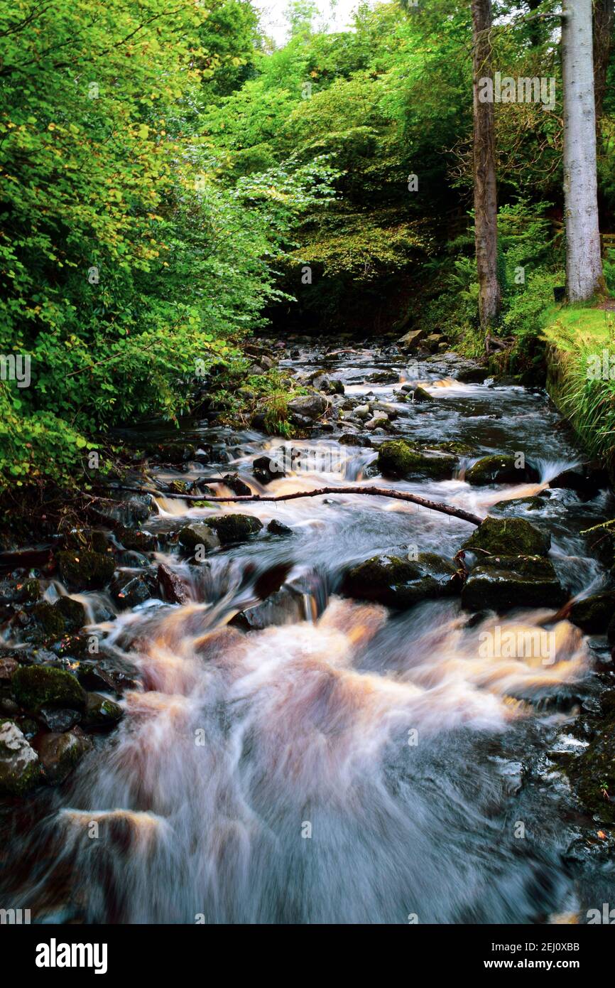 Irlanda del Nord Foto Stock