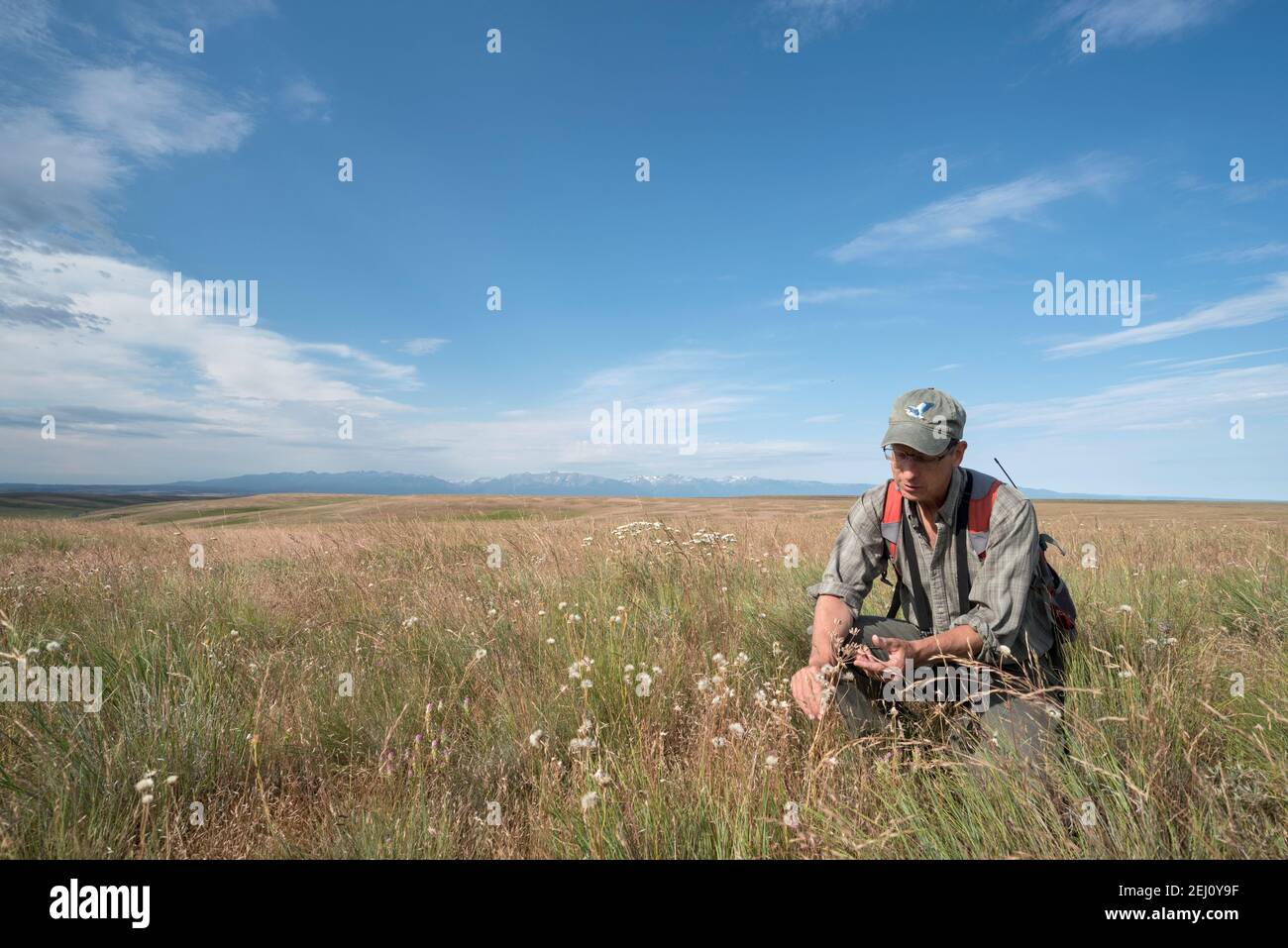 Jeff Fields, Program Manager per la Zumwalt Prairie Preserve in Oregon di TNC, ispezionando le condizioni della riserva. Foto Stock