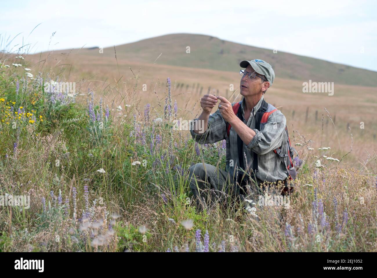 Jeff Fields, Program Manager della Zumwalt Prairie Preserve di TNC, Oregon. Foto Stock