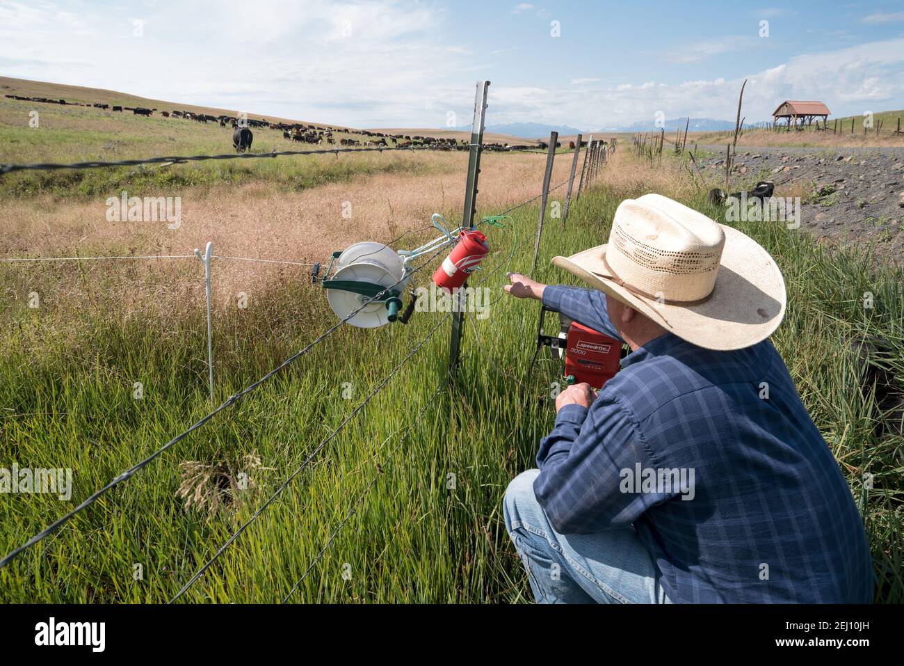 Rancher Dan Probert ispezionando un sistema solare di recinzione elettrica sulla Zumwalt Prairie dell'Oregon. Foto Stock