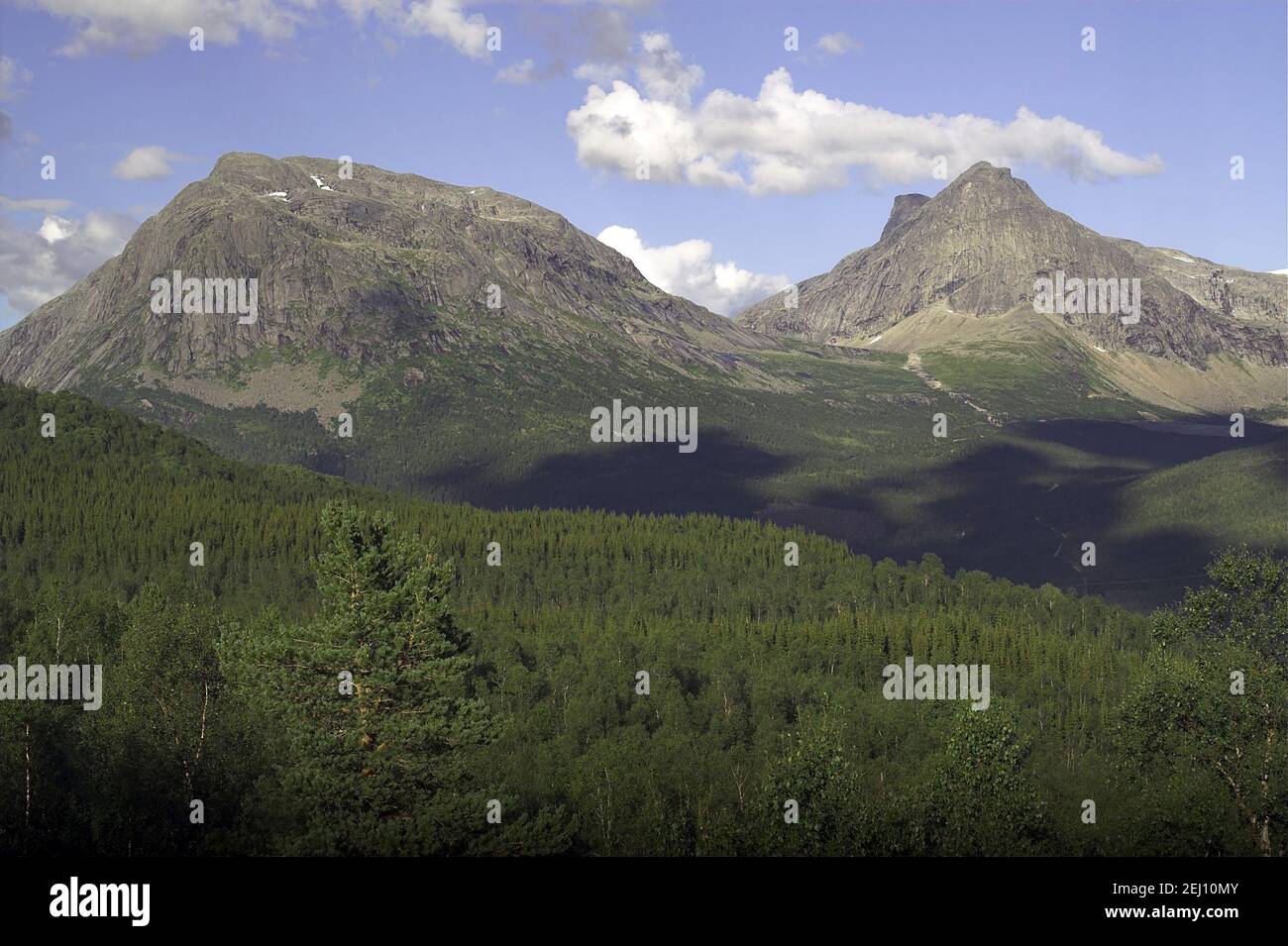 Norvegia, Norvegia; Montagne Rocciose - un tipico paesaggio estivo nella Norvegia settentrionale dietro il Circolo polare Artico. Abete rosso sulle pendici; świerkowy las Foto Stock