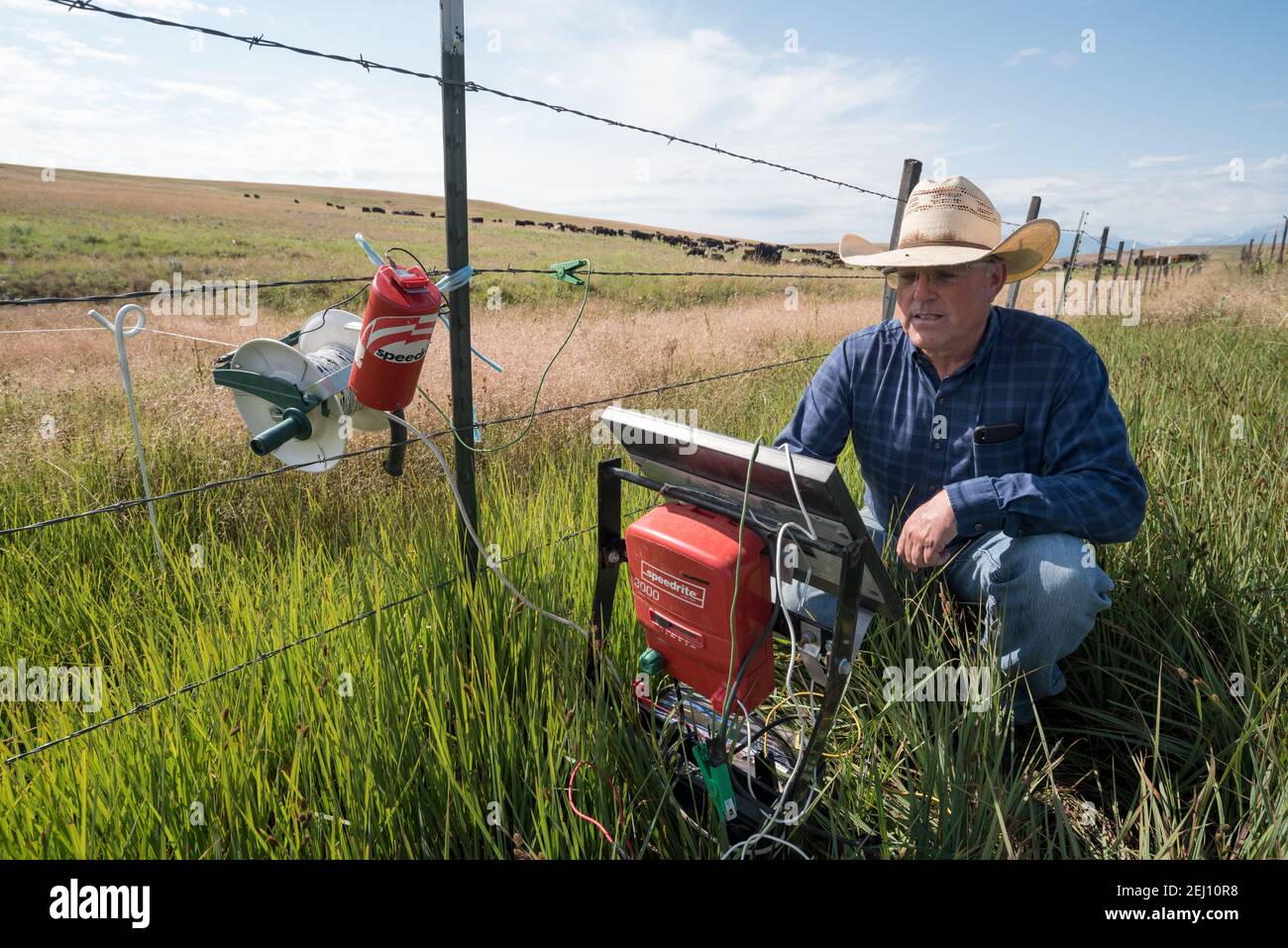 Rancher Dan Probert ispezionando un sistema solare di recinzione elettrica sulla Zumwalt Prairie dell'Oregon. Foto Stock