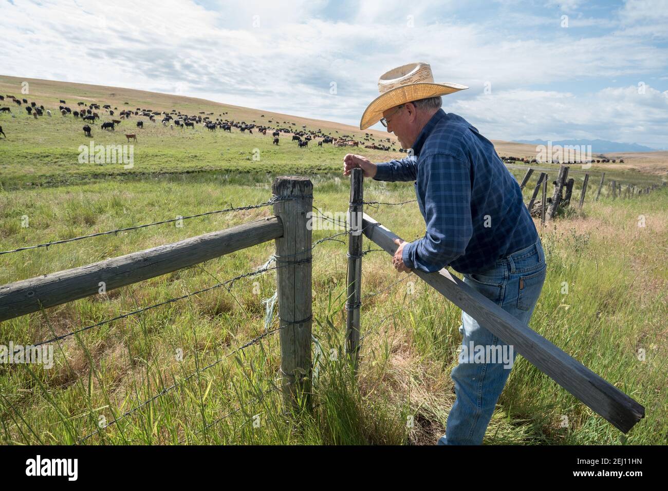 Rancher Dan Probert chiude un cancello sulla Zumwalt Prairie nel nord-est dell'Oregon. Foto Stock