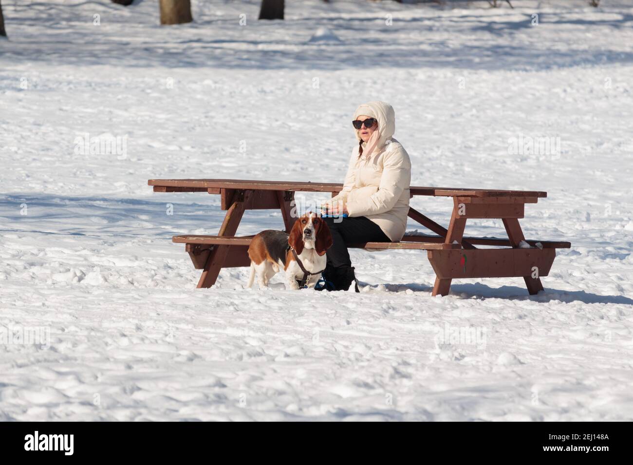 una donna si siede su ad un tavolo da picnic del parco con il suo animale domestico beagle su un guinzaglio dopo una tempesta di neve con neve che copre il terreno Foto Stock