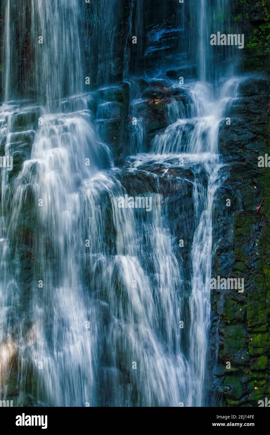 Cascata artistica nel bosco Foto Stock