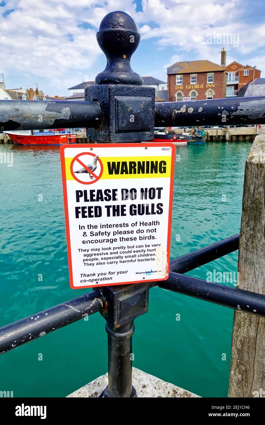 Weymouth, Dorset / Regno Unito - Luglio 25 2019: Attenzione non alimentare il cartello dei gabbiani attaccato alle ringhiere metalliche del porto di Weymouth a Dorset, Inghilterra, Regno Unito Foto Stock