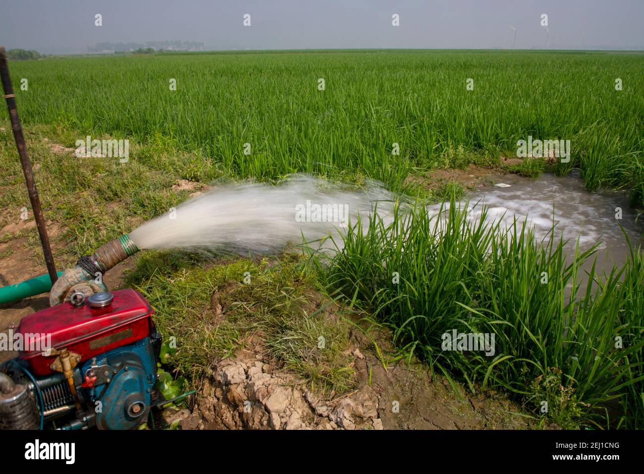 Sistema di irrigazione in un campo di risaie a Brahmanbaria, Bangladesh Foto Stock