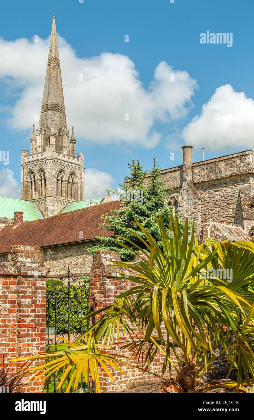 Cattedrale di Chichester vista dal Bishops Palace Garden in primavera, West Sussex, Inghilterra, Regno Unito Foto Stock