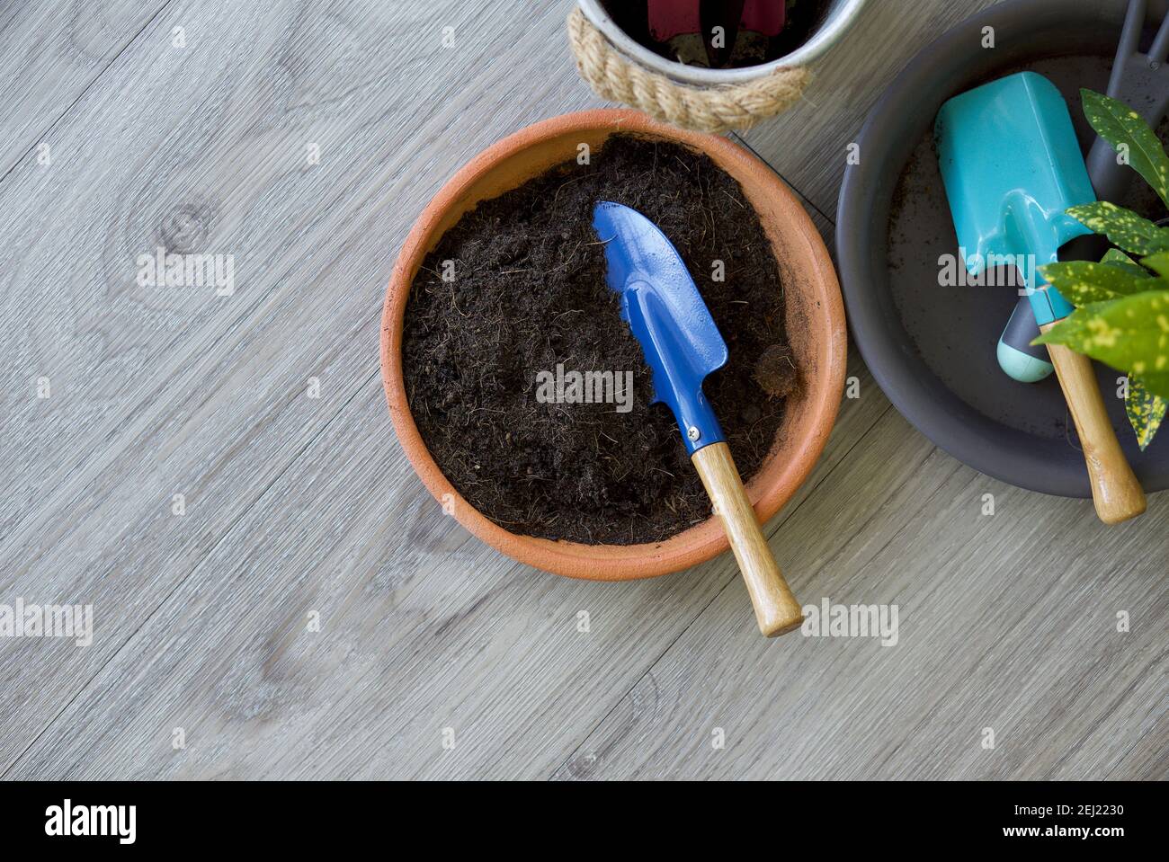 Pala per giardinaggio blu in piantatrici a vaso con terreno e fertilizzante su pavimento in legno. (Vista dall'alto) Foto Stock
