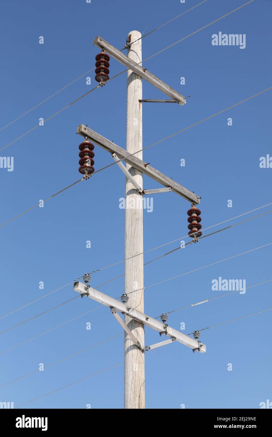 Pali di distribuzione di energia elettrica nella contea rurale di Warren, Illinois Foto Stock
