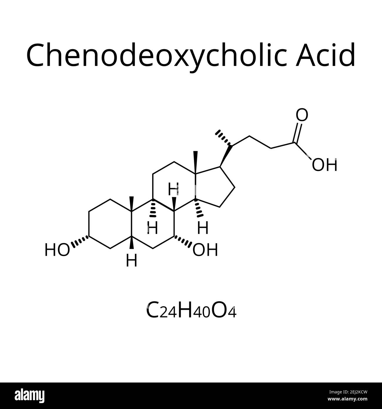 Acido chenodesossicolico. Acido biliare. Formula chimica molecolare acido chenodesossicolico. Illustrazione vettoriale su sfondo isolato Illustrazione Vettoriale