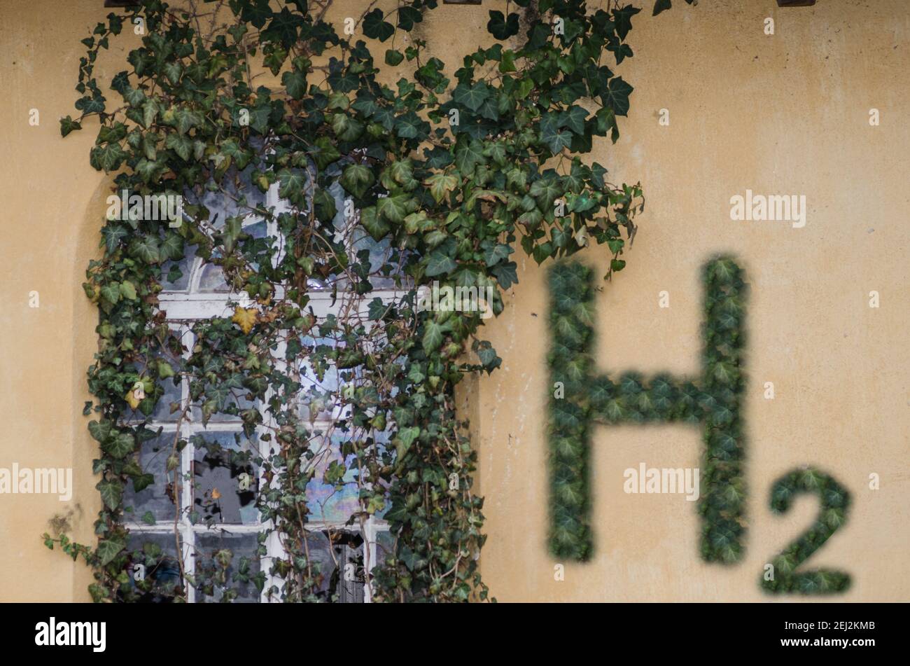 idrogeno h2 lettere con le stesse piante che crescono su una finestra Foto Stock
