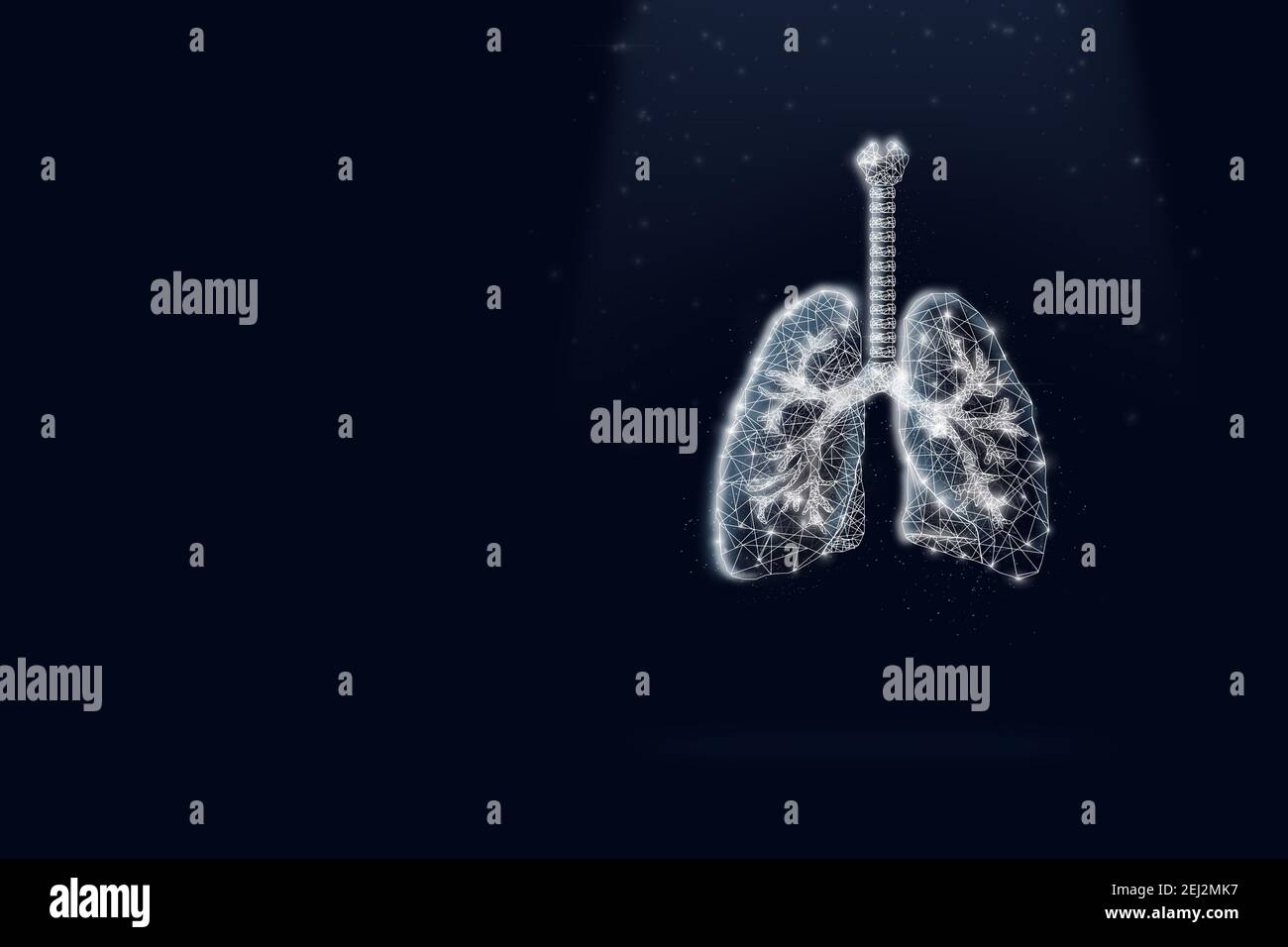 Polmoni umani virtuali su sfondo blu scuro. Su sfondo blu scuro. Spazio di copia in poly basso Foto Stock