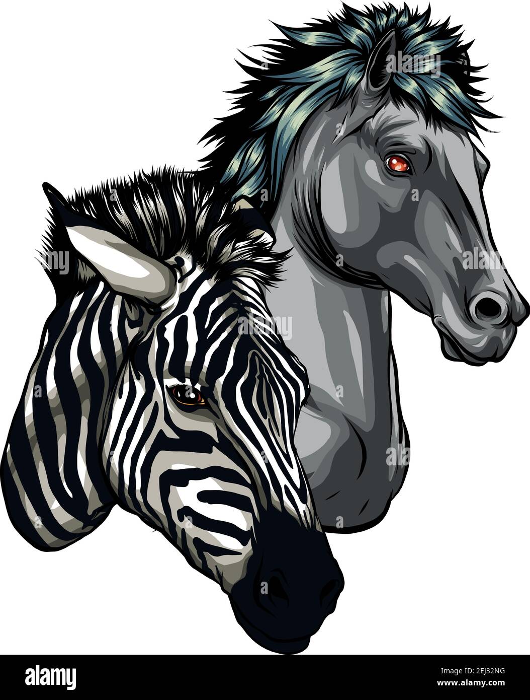 Illustrazione vettoriale del profilo delle teste a cavallo e della zebra Illustrazione Vettoriale