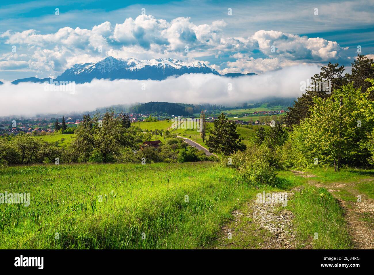 Fantastico paesaggio rurale primaverile con fenomeno naturale foggoso, Carpazi, Romania, Europa Foto Stock