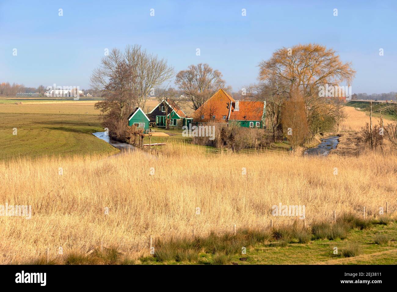 Vista panoramica sulla campagna dallo Zuiderdijk lungo l'Ijsselmeer, l'Olanda del Nord, i Paesi Bassi. Foto Stock
