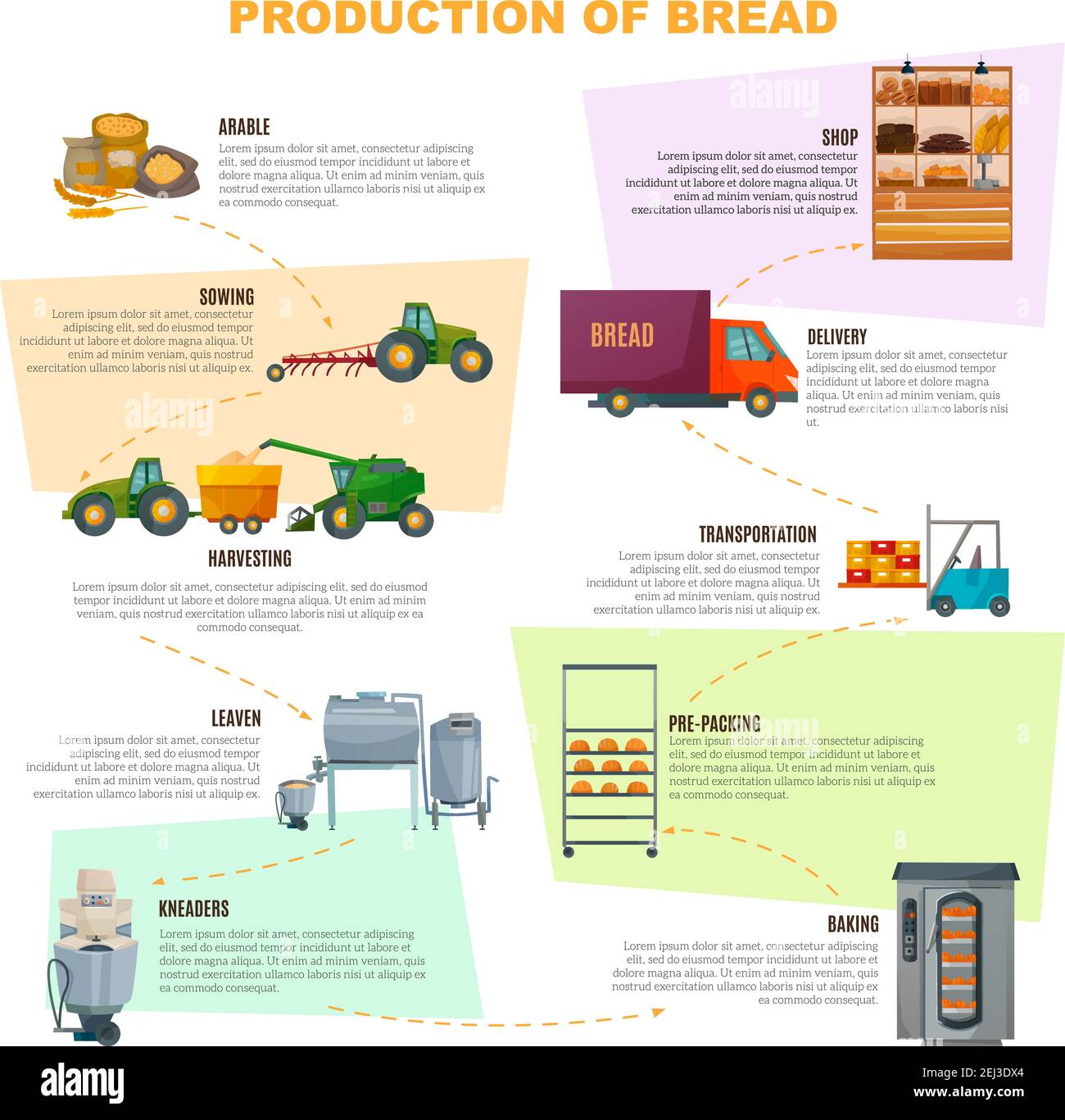 Infografica sulla produzione del pane, fasi dalla semina del grano alla consegna delle merci in negozio su illustrazione vettoriale di sfondo chiaro Illustrazione Vettoriale