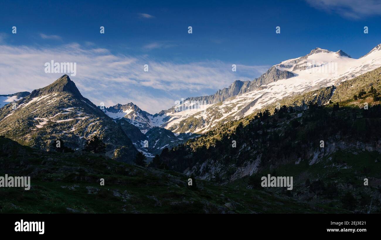 Plan d'Aigualluts sotto la cima Aneto in estate (Benasque, Pirenei, Spagna) ESP: Prado del Plan d'Aigualluts en verano, bajo el Aneto (Benasque) Foto Stock