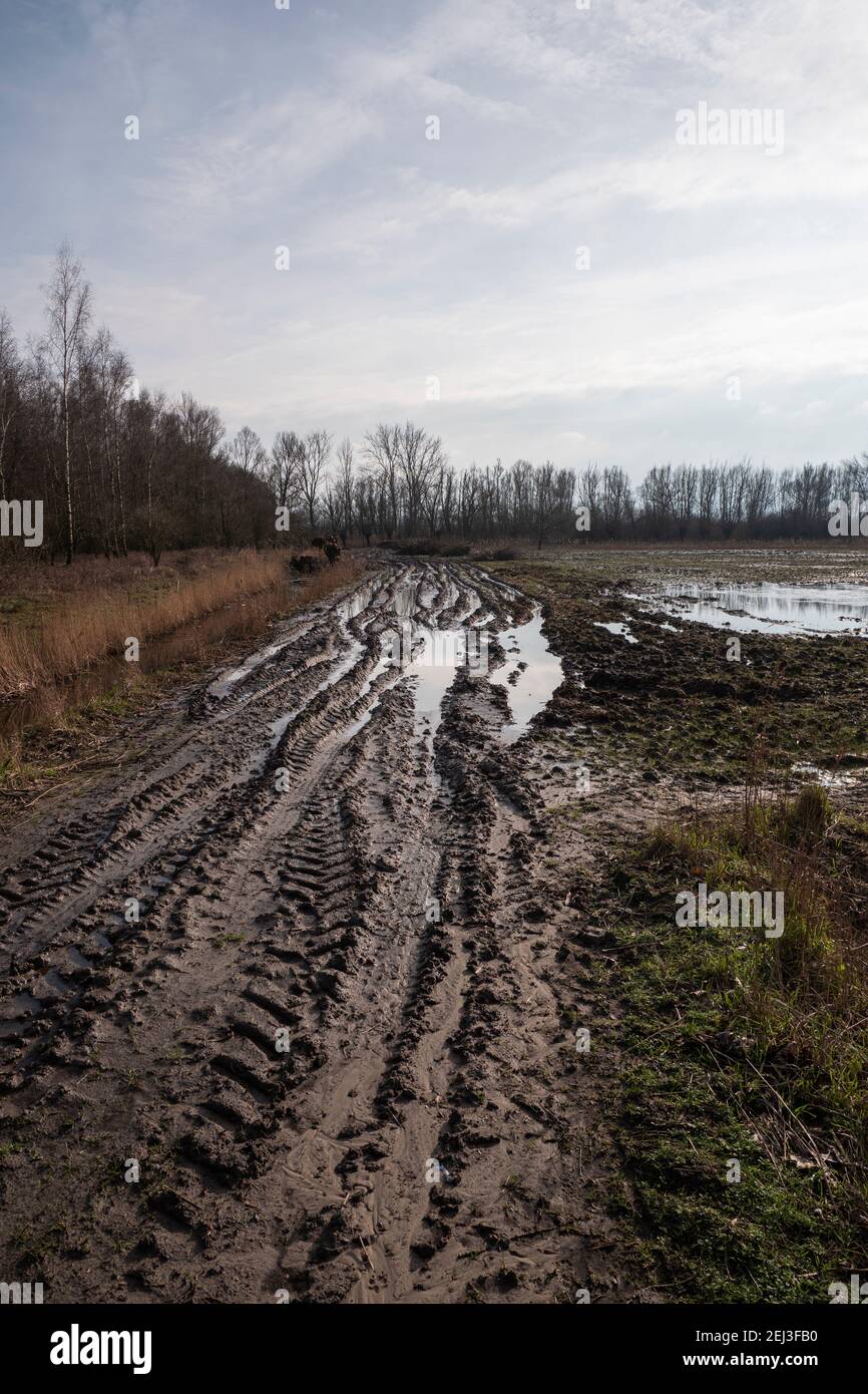 Strada fangosa per un campo dopo una giornata piovosa Foto Stock