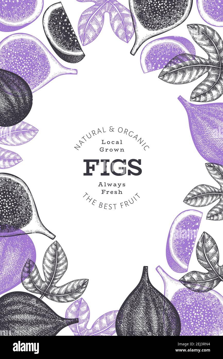 Modello di disegno di fichi disegnati a mano. Illustrazione del vettore di alimento fresco organico. Banner retrò di fico. Illustrazione Vettoriale