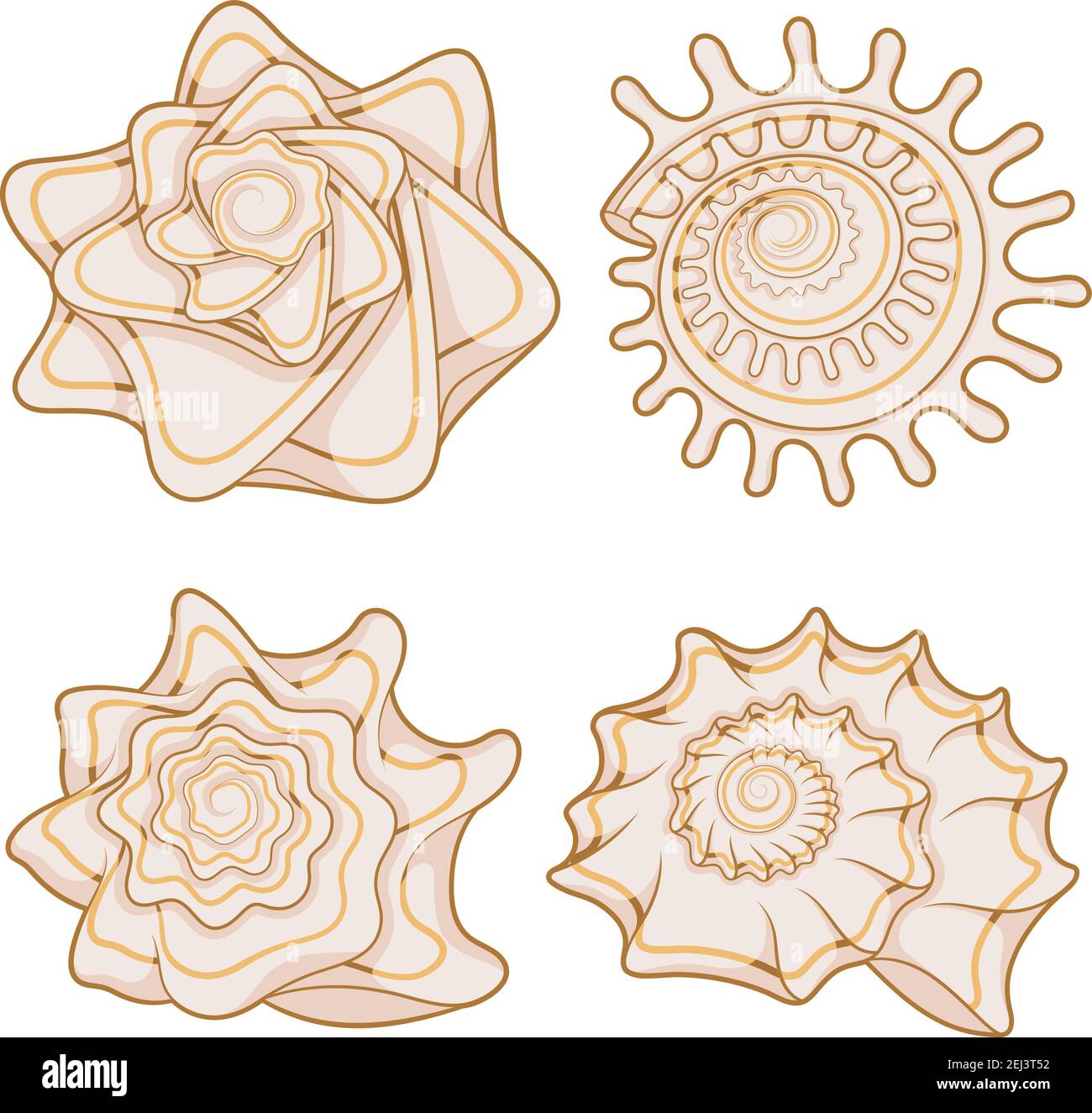 Set di conchiglie marine grafiche a colori. Oggetti isolati con ombra su sfondo bianco. Illustrazione Vettoriale