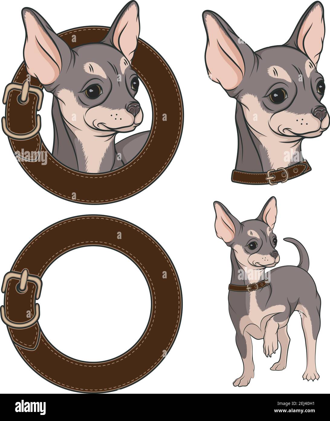 Set di illustrazioni a colori con Chihuahua in un collare. Oggetti vettoriali isolati. Illustrazione Vettoriale