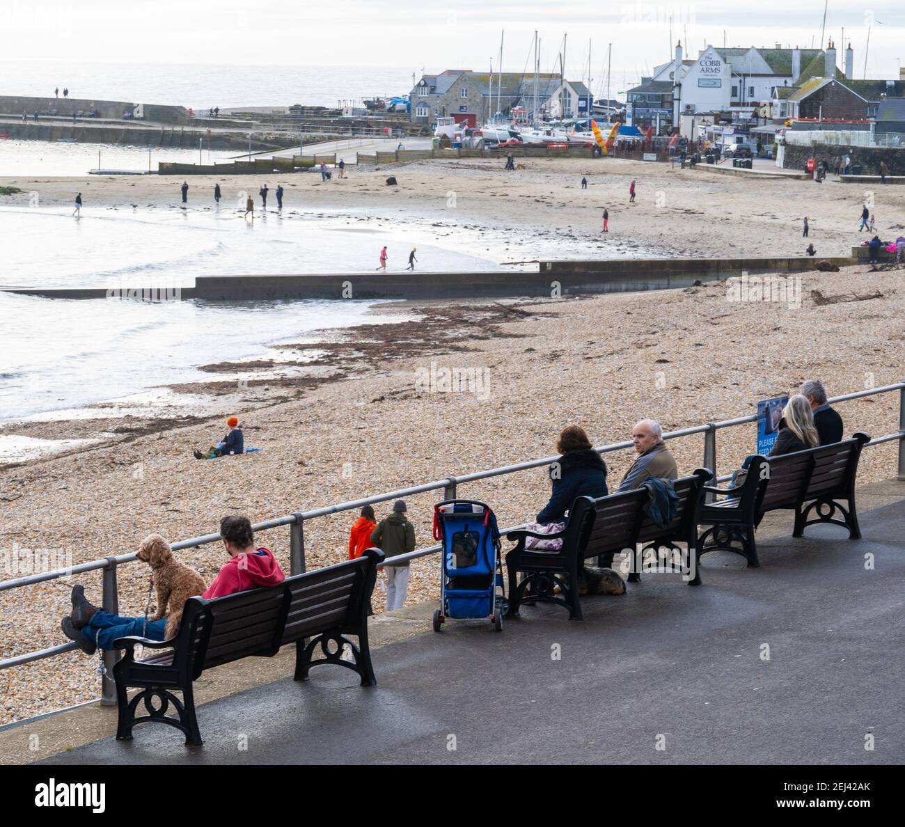 Lyme Regis, Dorset, Regno Unito. 21 Feb 2021. Regno Unito Meteo: Le persone godono di un caldo e soleggiato Domenica pomeriggio sulla spiaggia presso la località balneare di Lyme Regis, come il recente bagnato e buio tempo scompare portando più caldo, condizioni di sole la prossima settimana. Credit: Celia McMahon/Alamy Live News Foto Stock