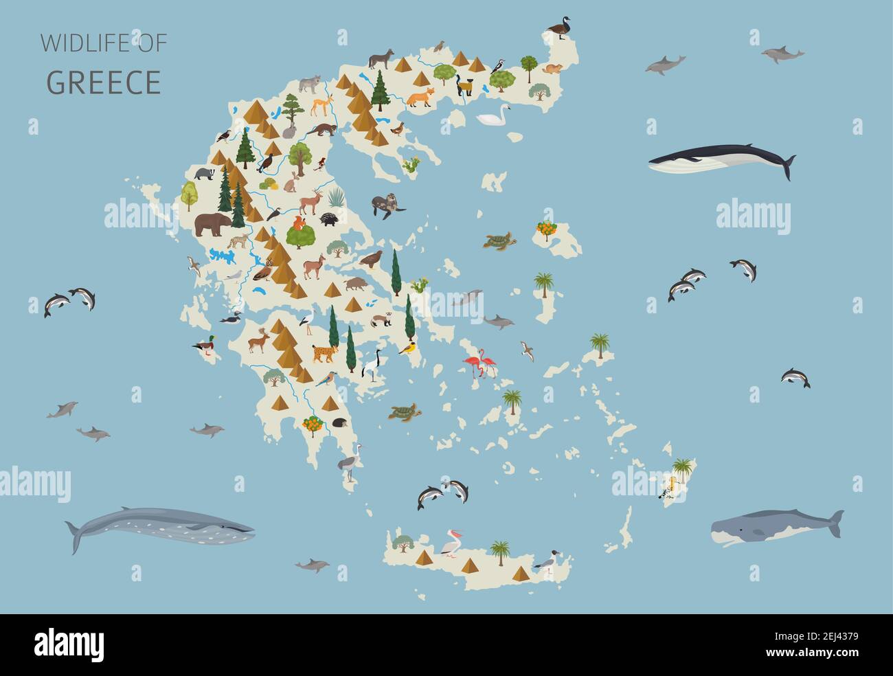 Design piatto della fauna selvatica greca. Elementi costruttivi di animali, uccelli e piante isolati su set bianco. Crea la tua raccolta di infografiche geografiche Illustrazione Vettoriale