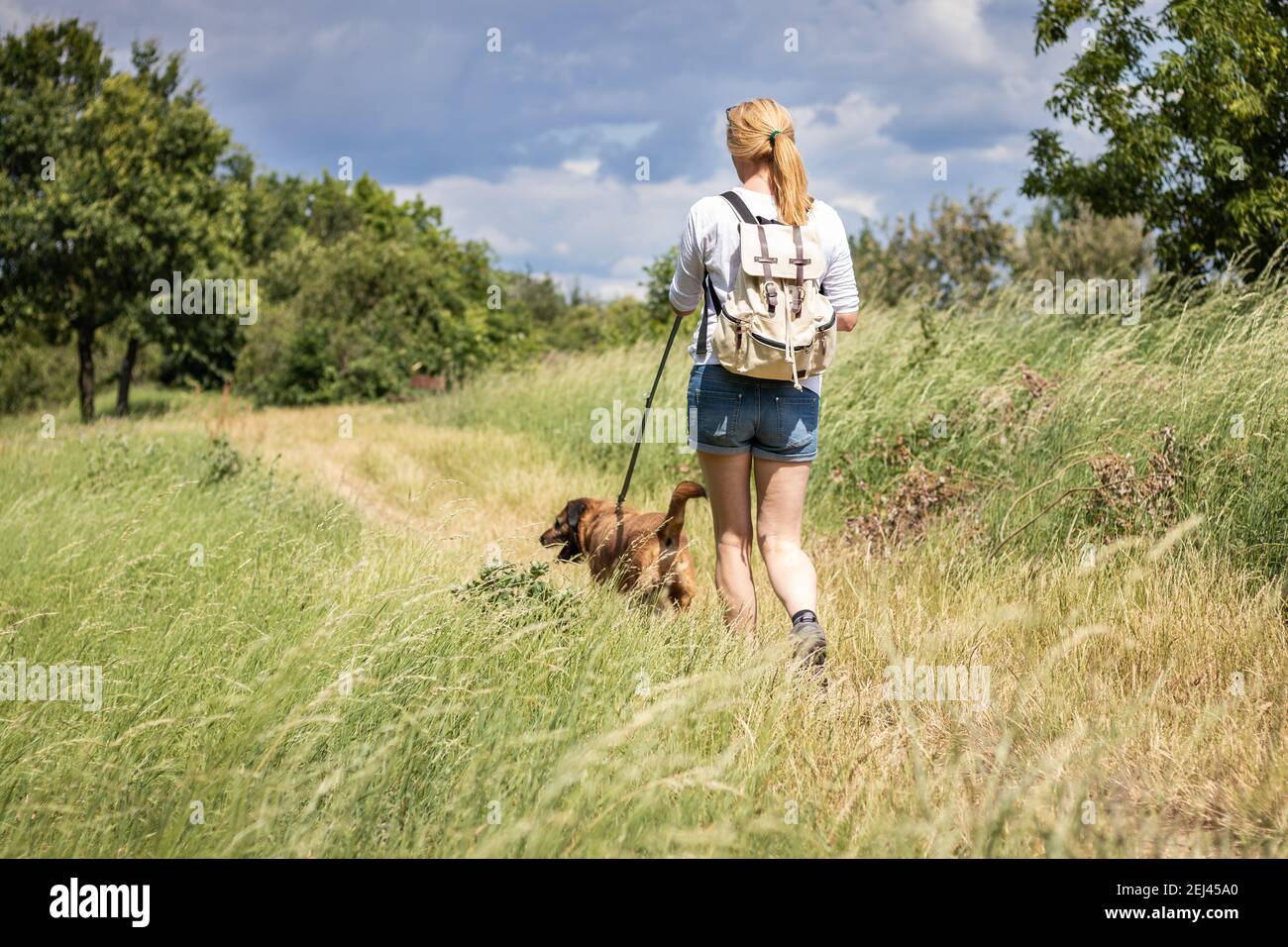 Donna escursionista che cammina con il suo cane in natura in estate. Turista con zaino godendo a piedi con il suo animale migliore amico Foto Stock