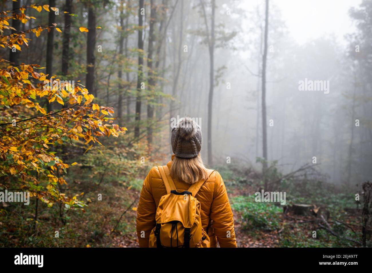 Donna con cappello a maglia e zaino trekking in bosco foggy. Tour a piedi sul sentiero nella foresta nebbiosa in autunno stagione Foto Stock