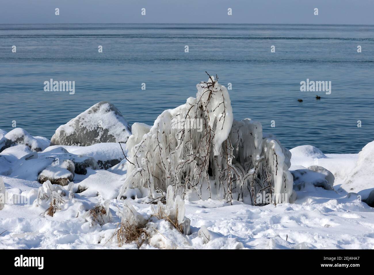 Paesaggi ghiacciati in inverno al porto Foto Stock