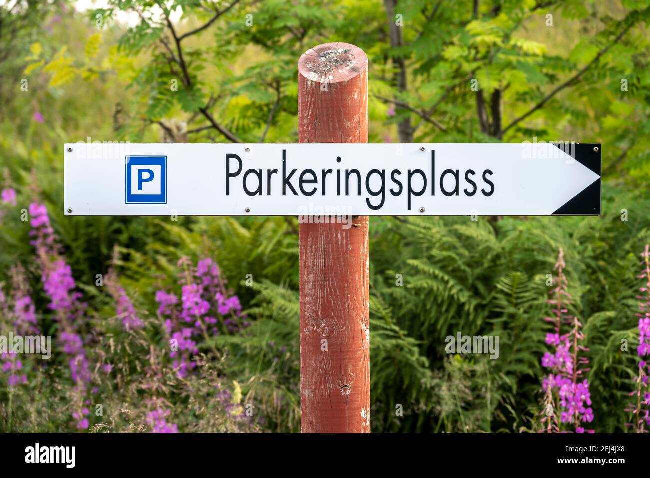 Cartello Parkeringsplass, Parking, Lofoten, Nordland, Norvegia Foto Stock