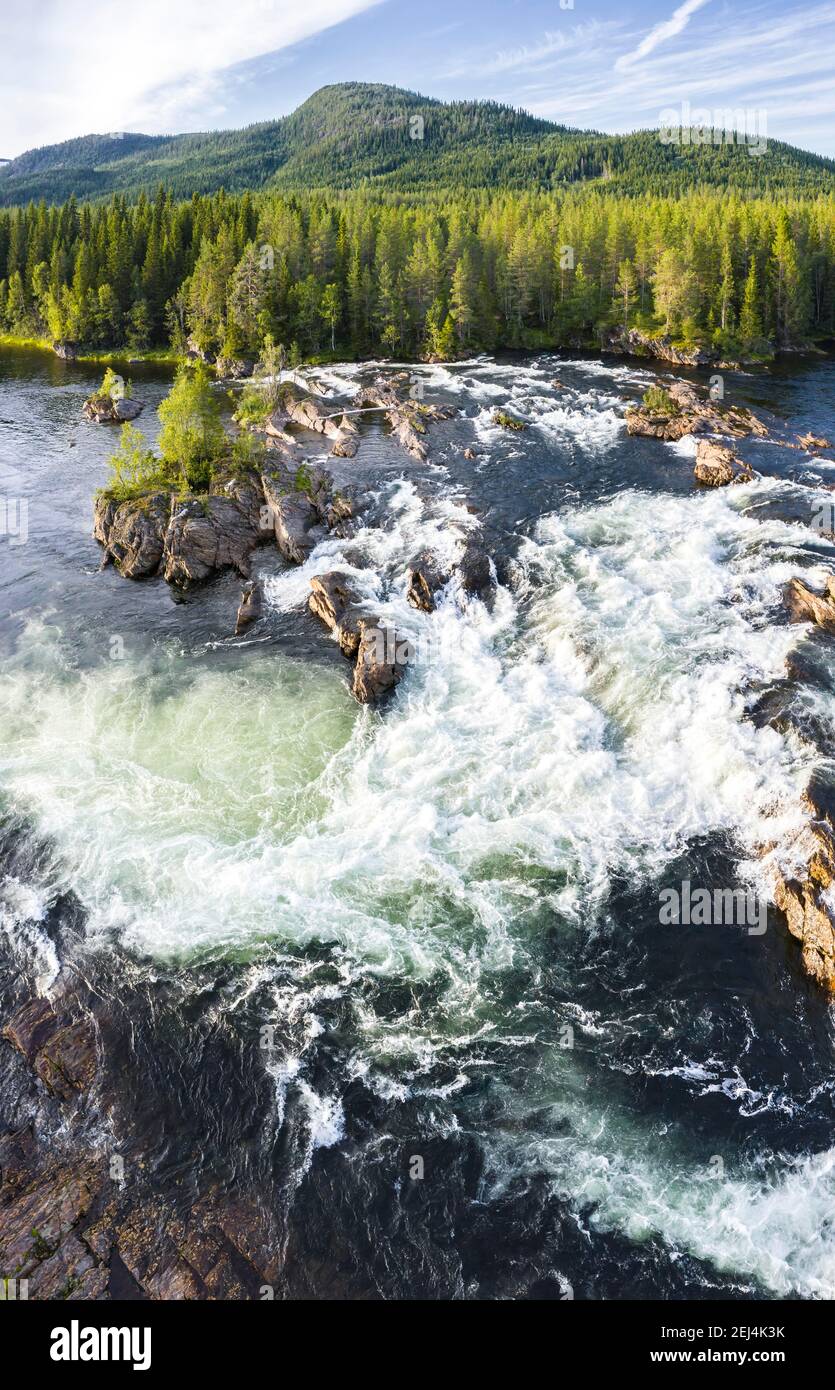 Rapide nel fiume Namsen, foresta di conifere, Namsskogan, Trondelag, Norvegia Foto Stock