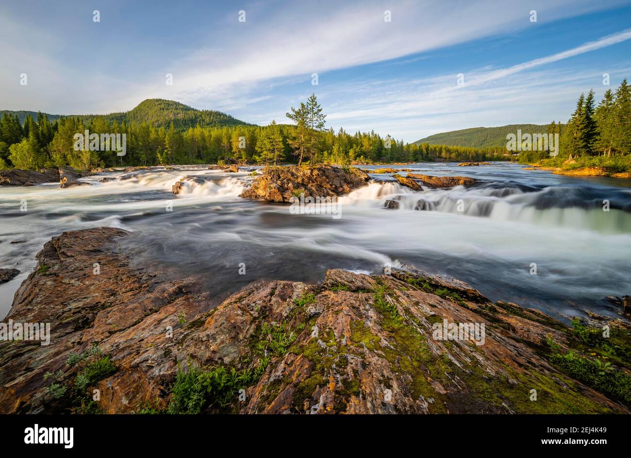 Rapide nel fiume Namsen, foresta di conifere, Namsskogan, Trondelag, Norvegia Foto Stock